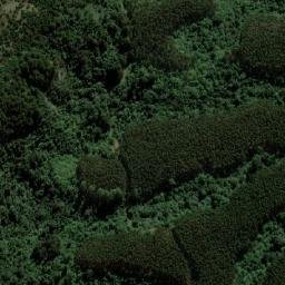 Satellite imagery of BRADLEY, MZ
