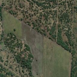 Satellite imagery of BRIT 31, BW