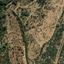 Satellite imagery of DAMSIG, BW