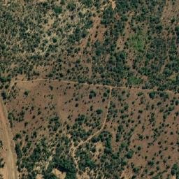 Satellite imagery of DAMSIG, BW