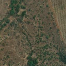 Satellite imagery of ALMA, MZ