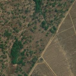Satellite imagery of ALMA, MZ