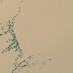 Satellite imagery of Louies Hill, AU