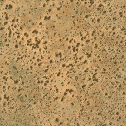 Satellite imagery of TEXAS, BW