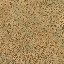 Satellite imagery of TEXAS, BW