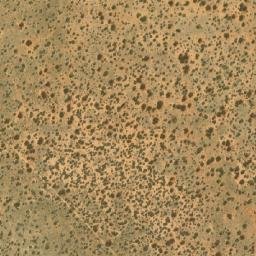 Satellite imagery of TEXAS, BW