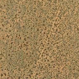 Satellite imagery of TEXAS, BW