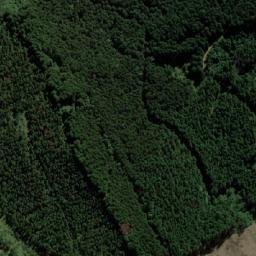 Satellite imagery of FOREST, MZ