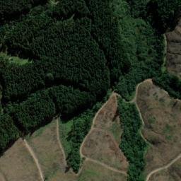 Satellite imagery of FOREST, MZ
