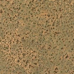 Satellite imagery of TEXAS, BW