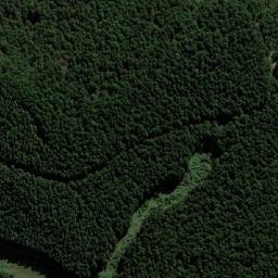 Satellite imagery of FOREST, MZ
