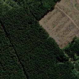 Satellite imagery of FOREST, MZ