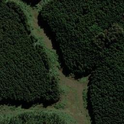 Satellite imagery of FOREST, MZ