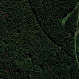 Satellite imagery of FOREST, MZ