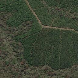 Satellite imagery of Big Angle, AU