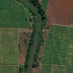 Satellite imagery of FIGTREE, MZ