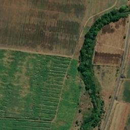 Satellite imagery of FIGTREE, MZ