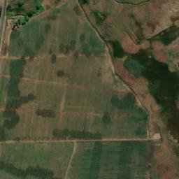 Satellite imagery of FIGTREE, MZ