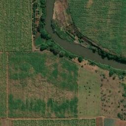 Satellite imagery of FIGTREE, MZ