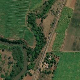 Satellite imagery of FIGTREE, MZ