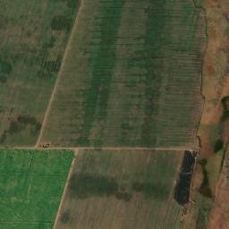 Satellite imagery of FIGTREE, MZ