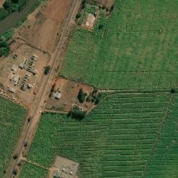 Satellite imagery of FIGTREE, MZ