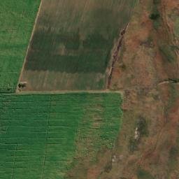 Satellite imagery of FIGTREE, MZ