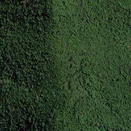 Satellite imagery of Mount Bauple, AU