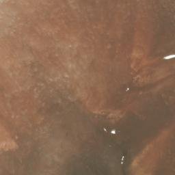 Satellite imagery of Cordón Conito de los Infieles, CL