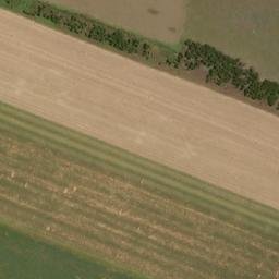Satellite imagery of PLANT, BW