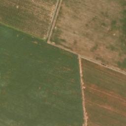 Satellite imagery of PLANT, BW