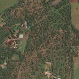 Satellite imagery of BRIT 40, BW