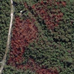 Satellite imagery of Carlo, AU