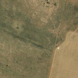 Satellite imagery of MEM, BW