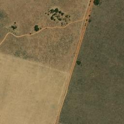 Satellite imagery of MEM, BW