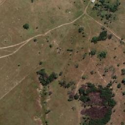 Satellite imagery of KOPPIE ALLEEN, MZ