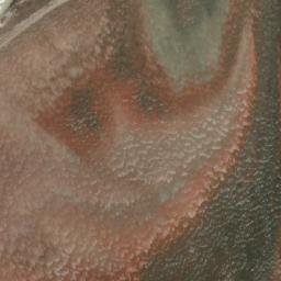 Satellite imagery of Cerro Negro, CL