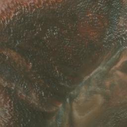 Satellite imagery of Cerro Negro, CL