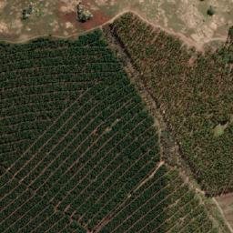 Satellite imagery of WELGEVONDEN, MZ