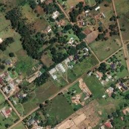 Satellite imagery of PRE 44, BW