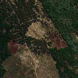 Satellite imagery of PITTVILLE, MZ