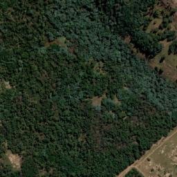 Satellite imagery of PITTVILLE, MZ