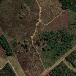 Satellite imagery of PITTVILLE, MZ