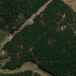 Satellite imagery of PITTVILLE, MZ