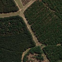 Satellite imagery of PITTVILLE, MZ