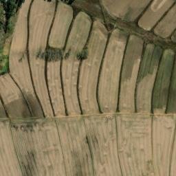 Satellite imagery of WIT 21, BW