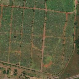 Satellite imagery of VER 15, BW