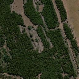 Satellite imagery of HAMILTON, MZ
