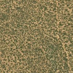 Satellite imagery of BONA, BW