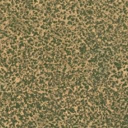 Satellite imagery of BONA, BW